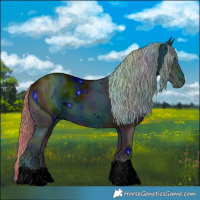 Horse Color:ERROR: UNKNOWN ANOMALY