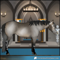 Horse Color:Gray Buckskin Dun Sabino 