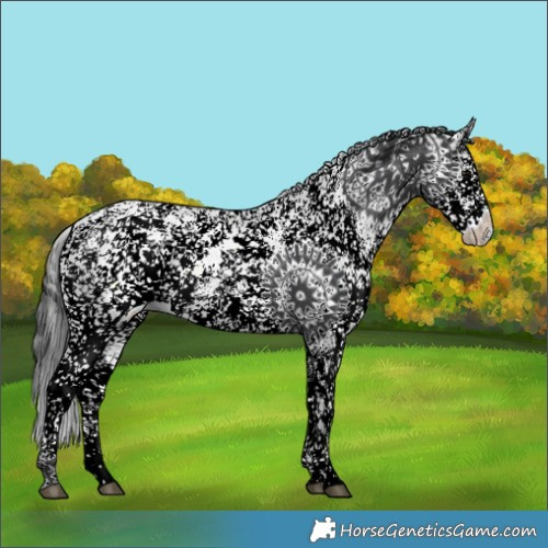 Horse Color:White Spotted Black Sabino 