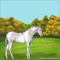 Horse Color:Platinum Silver Brown Dun Tobiano 