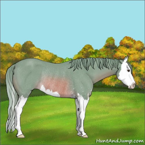 Horse Color:Watercolor Chestnut Sabino Splash Rabicano 