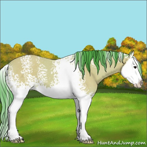 Horse Color:Watercolor White Spotted Buckskin Splash 