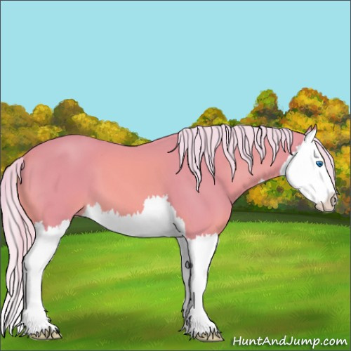 Horse Color:Watercolor Palomino Splash