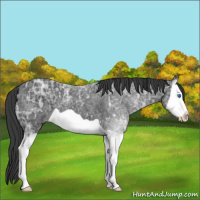 Horse Color:Black Ice Splash 