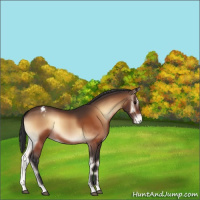 Horse Color:Bay Onyx Varnish 