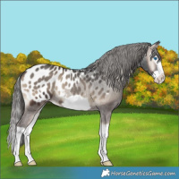 Horse Color:Blue Onyx Splash Frame Blanket Rabicano