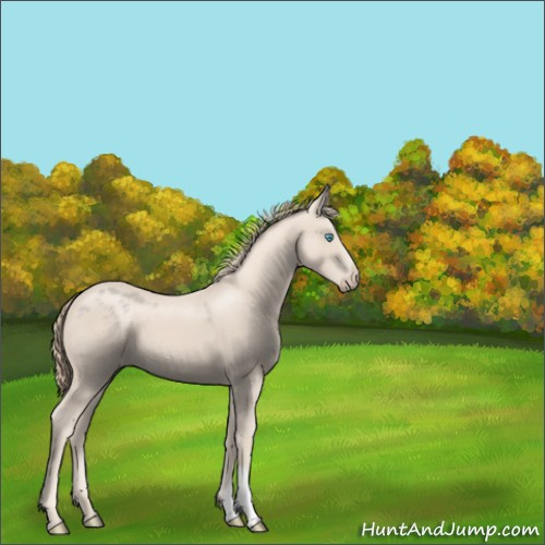 Horse Color:Chocolate Smoky Creme 