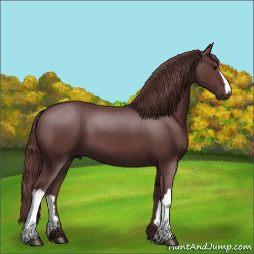 Horse Color:Chocolate Smoky Black 