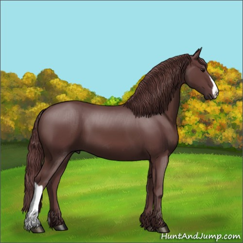 Horse Color:Chocolate Smoky Black 