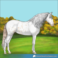 Horse Color:White Spotted Amber Champagne Dun Tobiano Blanket