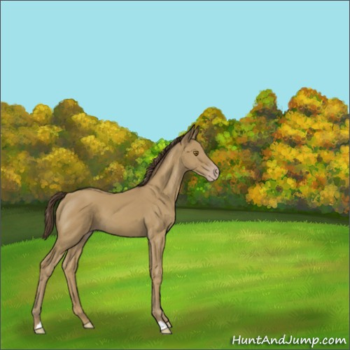 Horse Color:Classic Cream Champagne 