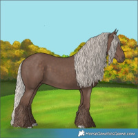 Horse Color:Silver Black 