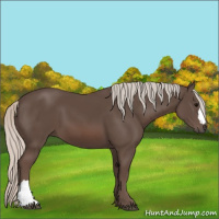 Horse Color:Silver Black 