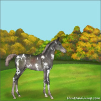 Horse Color:Platinum White Spotted Liver Chestnut 