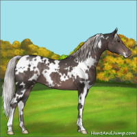 Horse Color:Platinum White Spotted Liver Chestnut 