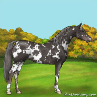 Horse Color:Platinum White Spotted Liver Chestnut Rabicano 