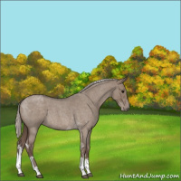 Horse Color:Silver Grullo Roan Tobiano 