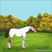 Horse Color:White Spotted Bay Onyx Tobiano Near Fewspot 