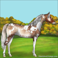 Horse Color:White Spotted Liver Red Onyx Mushroom Rabicano 