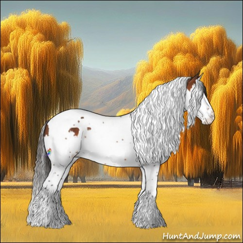 Horse Color:Bay Splash Tobiano 