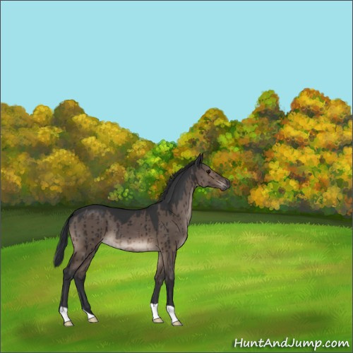 Horse Color:Brown Dun Brindle 