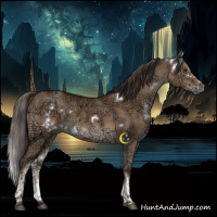 Horse Color:White Spotted Liver Red Dun Ice Rabicano 
