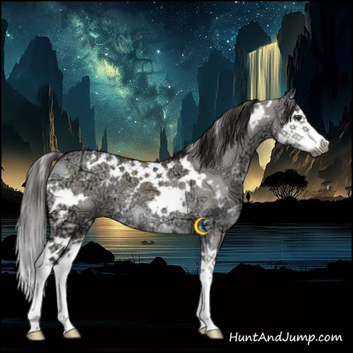 Horse Color:Gray Platinum White Spotted Liver Red Dun Ice Splash 