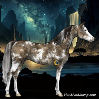 Horse Color:Gray White Spotted Liver Red Dun Ice Splash 