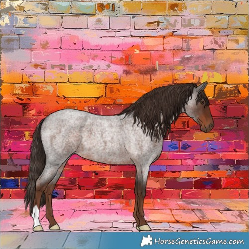 Horse Color:Liver Red Roan