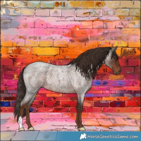 Horse Color:Liver Red Roan 