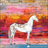Horse Color:Liver Red Dun Sabino Blanket Brindle 