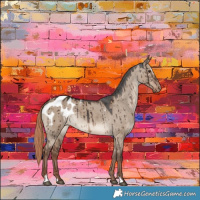 Horse Color:Liver Red Dun Sabino Appaloosa Brindle