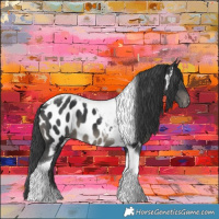 Horse Color:Black Tobiano Near Leopard 