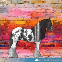 Horse Color:White Spotted Liver Chestnut Tobiano 