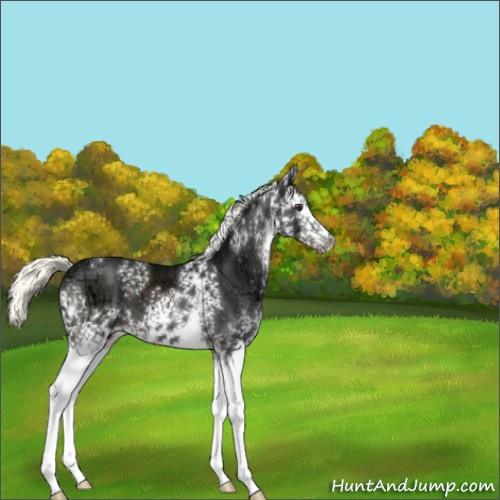 Horse Color:White Spotted Liver Chestnut Ice Mushroom 