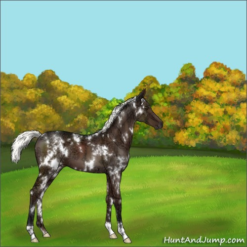 Horse Color:White Spotted Liver Chestnut Ice Mushroom 