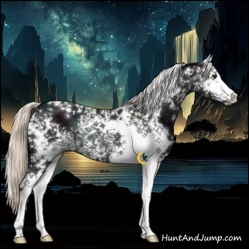 Horse Color:White Spotted Midnight Liver Chestnut Ice Mushroom Rabicano