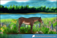 Horse Color:Void Painted White Spotted Liver Chestnut Rabicano 