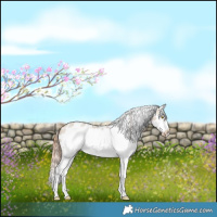 Horse Color:Bay Roan Dun Sabino Splash Frame Near Leopard 