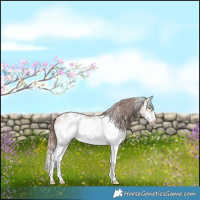 Horse Color:Bay Roan Dun Sabino Splash Frame Appaloosa 