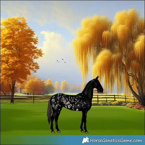 Horse Color:Void Platinum Bay Dun Appaloosa