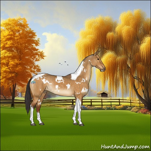 Horse Color:White Spotted Buckskin Dun Tobiano Rabicano