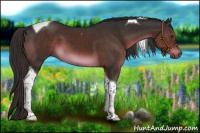 Horse Color:Liver Chestnut Tobiano 