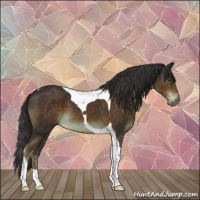 Horse Color:Liver Chestnut Tobiano 