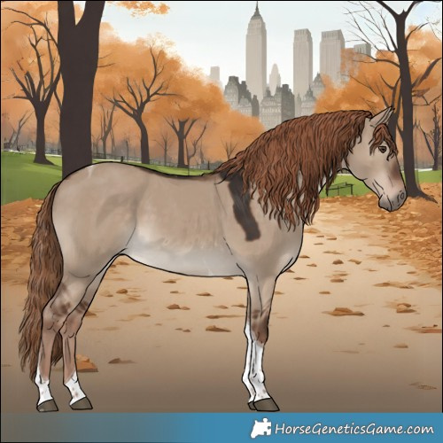 Horse Color:Liver Red Dun Tobiano 