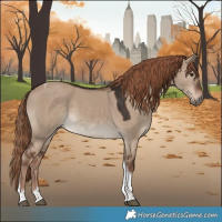 Horse Color:Liver Red Dun Tobiano 