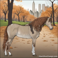 Horse Color:Liver Red Dun Tobiano