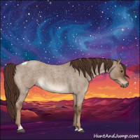 Horse Color:Liver Red Dun Roan Tobiano