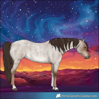 Horse Color:Liver Red Dun Roan Tobiano 