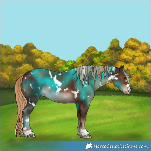Horse Color:White Spotted Liver Chestnut 